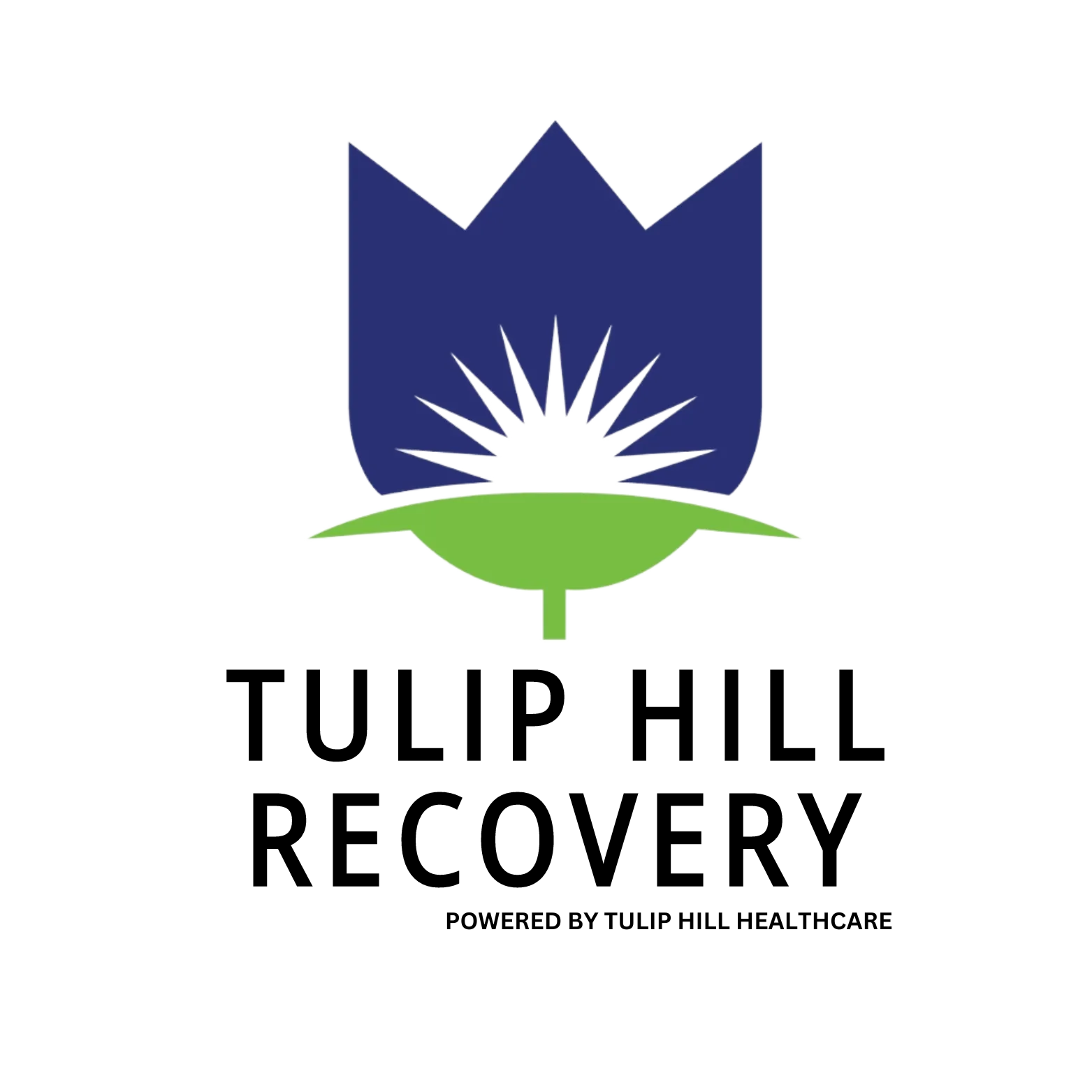 Tulip Hill Recovery